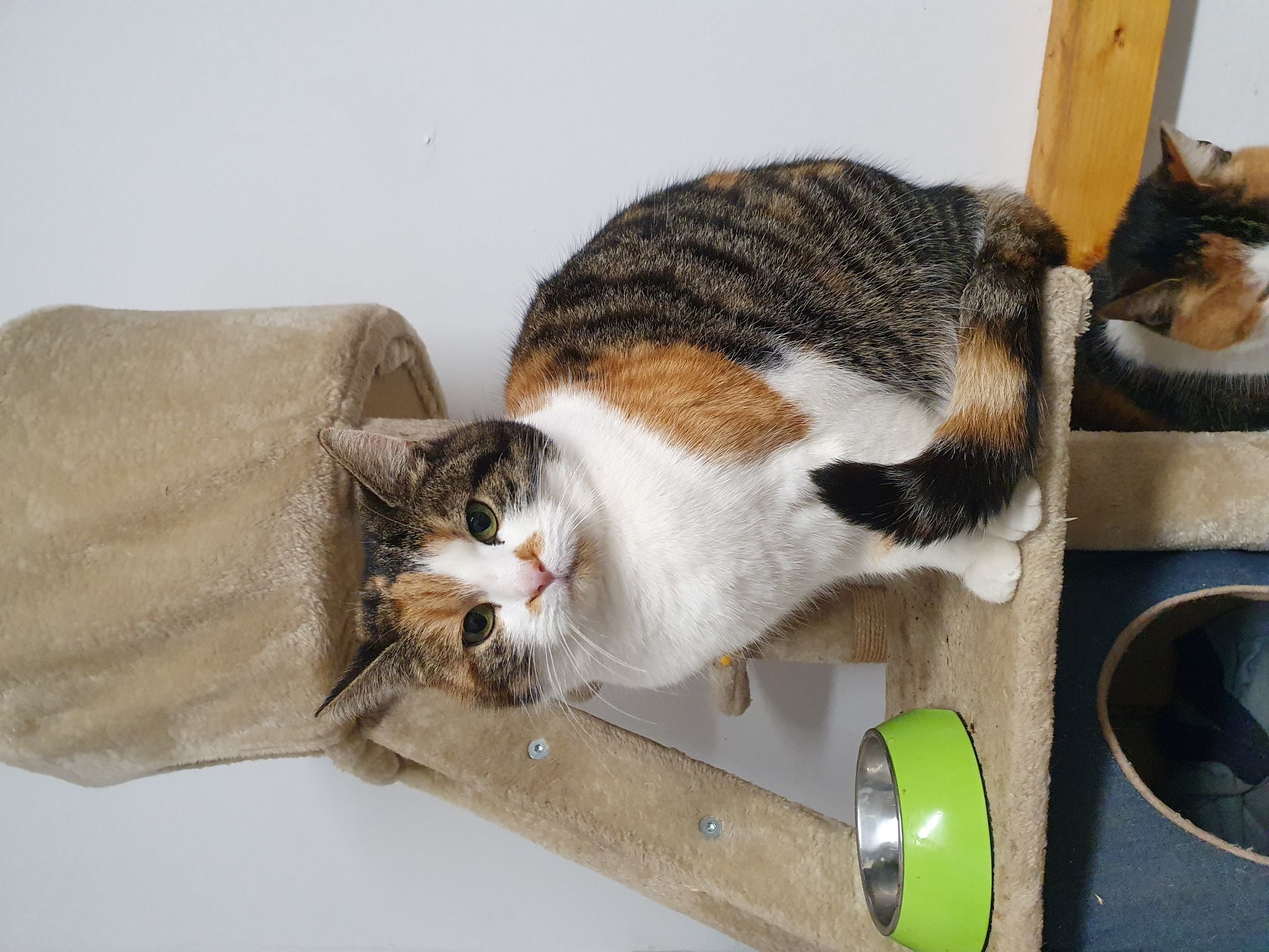 2023 12 Dezember 635